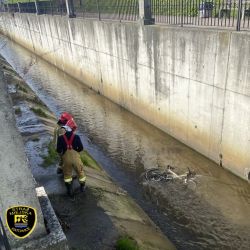 Dzisiaj mamy pierwszy dzień wiosny i ryby w Rawie się obudziły