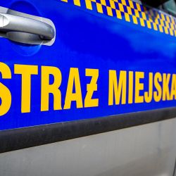 Strażnicy miejscy udzielili pomocy przedmedycznej rannej osobie