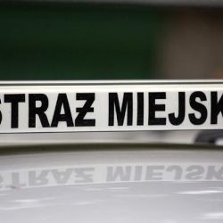 Strażnicy  miejscy złapali ekshibicjonistę