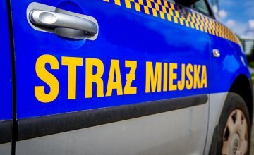 Pobicie na przystanku autobusowym. Agresywnych sprawców zatrzymali strażnicy miejscy