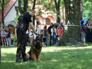 Michał Szafran i jego Balu podczas pokazu