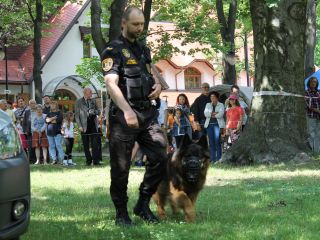 Michał Szafran i jego Balu podczas pokazu