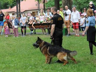 Michał Szafran i jego Balu podczas pokazu