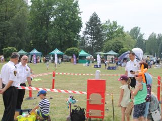 Uczestnicy pikniku rodzinnego Ekoodpowiedzialnie 2019