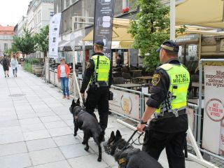 Patrol straży miejskiej z psami - ulica Mariacka Katowice