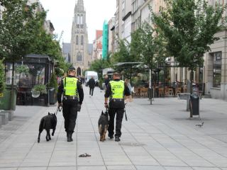 Patrol straż miejskiej z psami na ulicy Mariackiej