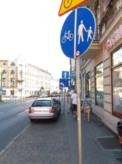 Strażnik z rowerowego patrolu podczas wykonywania czynności służbowych (fot archiwum)