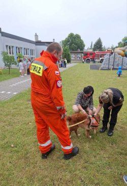 Spotkanie przedszkolaków ze strażniczkami miejskimi i strażakami